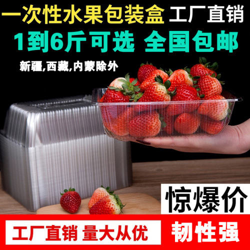 Multi-specification disposable transparent plastic fruit box roast duck strawberry grape fruit cut fruit and vegetable packaging tray packaging box