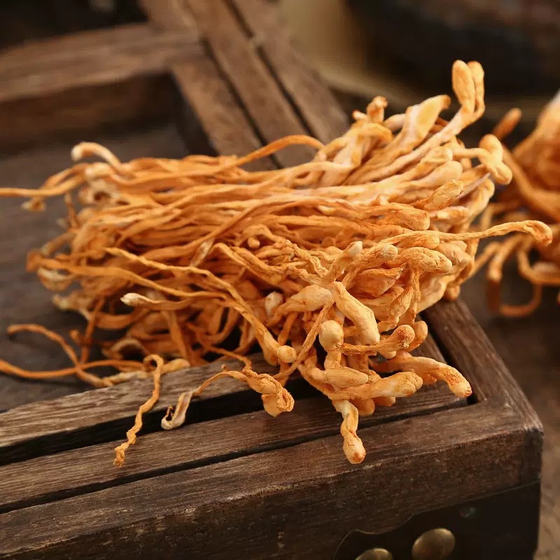 Cordyceps Flower Chong Cao Hua Dried Cordyceps Militaris Fruiting Bodies 500g for Soup and Tea key features