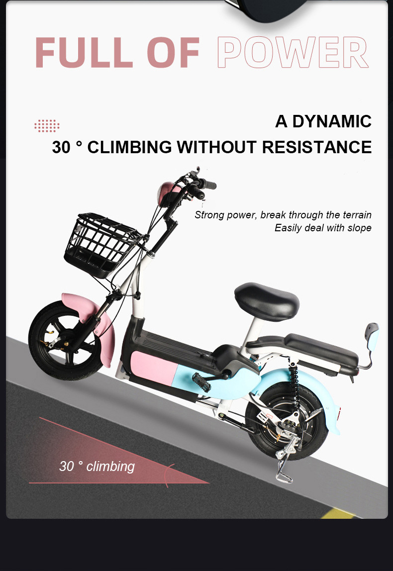 Custom Electric Bicycle, New National Standard, 48V 60V