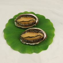 �����U�~������ؐ���ط۽z���r�������r�з�[���̈�Ӱҕ����