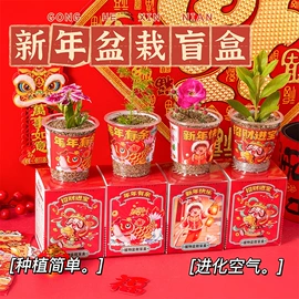 发光玩具;惯性回力玩具;减压玩具