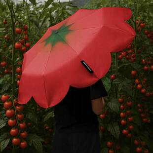 С�t��ͬ��Tomato���t���ㄓ���������⾀̫ꖂ�������ÿɶ���
