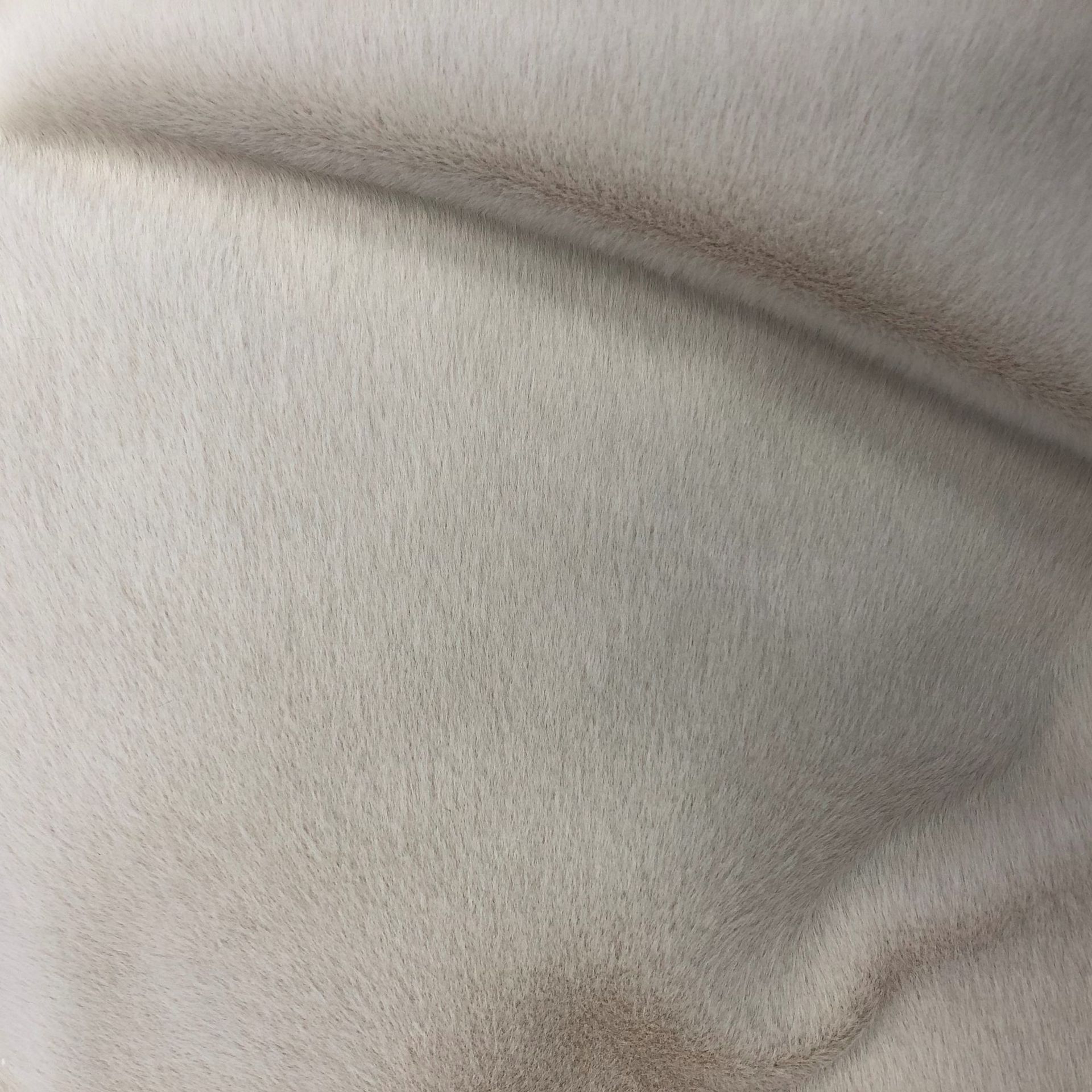 微信图片_202101121352592