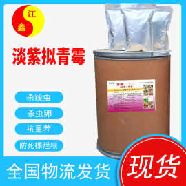 淡紫拟青霉 杀线虫200亿杀菌 虫卵微生物菌剂改良土壤 淡紫拟青霉