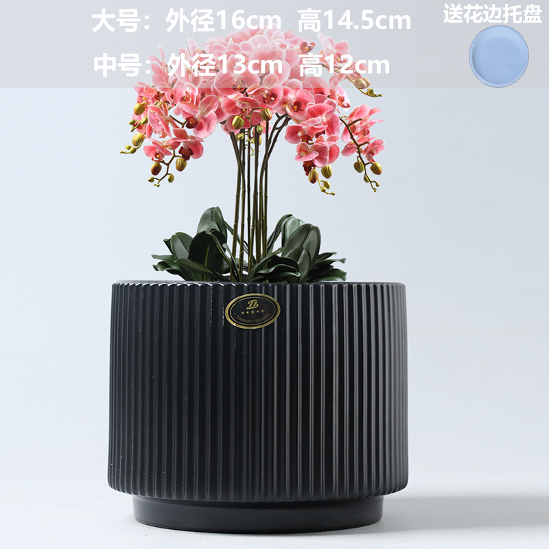 Athens texture Black (free plastic tray)