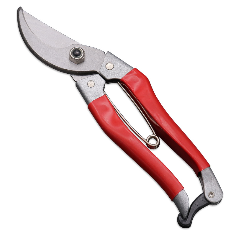 厂家批发鸟嘴园艺修枝剪园林绿化工具剪刀 树枝摘果蔬修枝剪刀