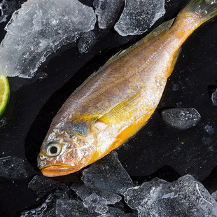 �ζ��e�S�~�|���S���S���~���S�~ ��ͨ���|С�S�~���r�~� 6�l�b