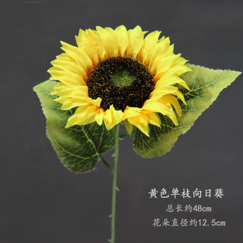 Solo girasol amarillo