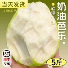 �V����ʯ����İŘ�����ܿڸЮ������rˮ������ܛŴ����������]