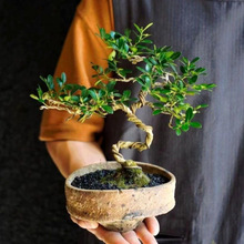 ���͹����S���辰�҃��ļ�����ֲ���k���Ӽ��ͶY�ͺ��Gֲһ��һ��