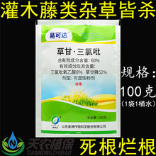 �׿��_ �ݸ�� ��������������@�s���s���ľ�����_�Ġ������݄�