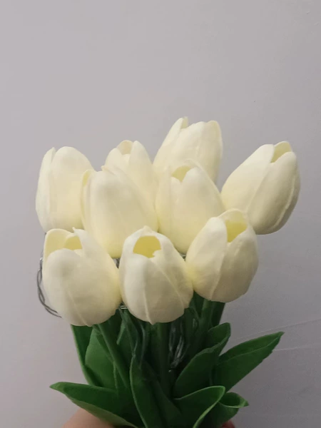 Little Tulmi Fragrant Milk Yellow