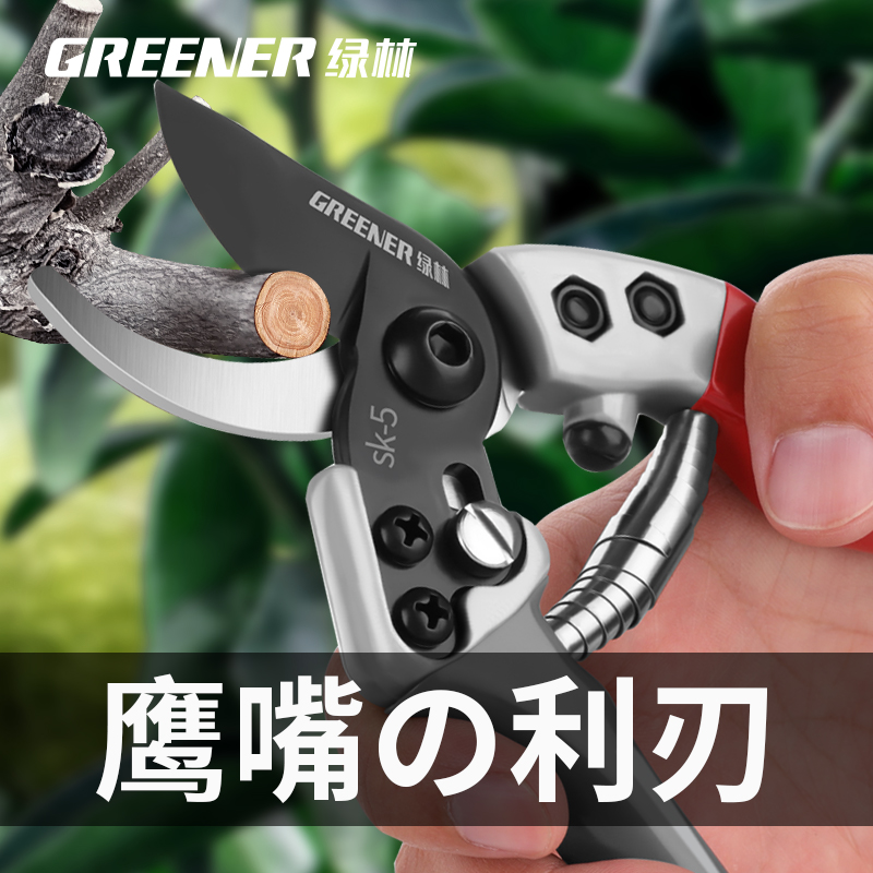 ✅日本进口SK5钢果树园艺修枝剪剪树枝剪刀花剪花艺枝条剪刀