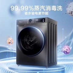 リトルスワン/リトルスワン TG100V098PRO 大容量除菌全自動洗濯乾燥機 10kg