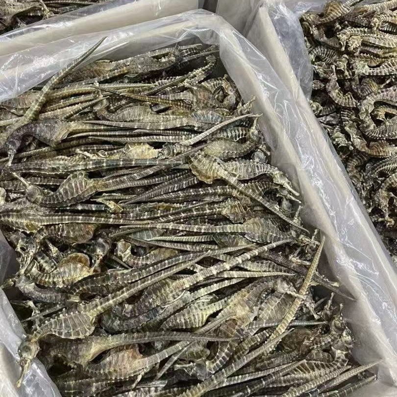 Dried Seahorse for Soup and Wine Soaking Traditional Chinese Tonic 0.5-5g Sizes specifications