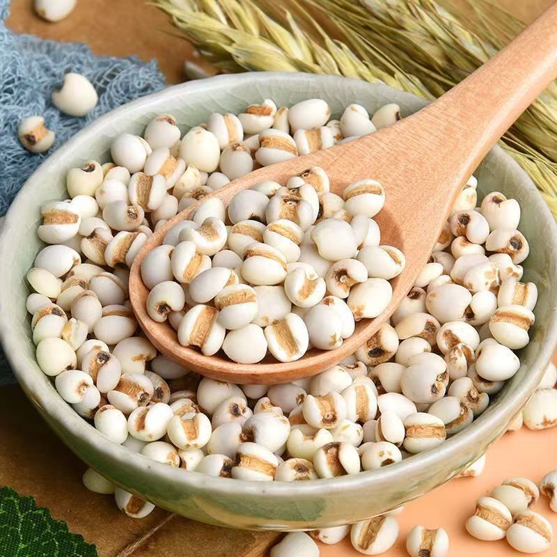 Roasted Coix Seed Powder Yi Yi Ren 薏苡仁 Coix lacryma-jobi 500g Herbal Powder for Drinks and Congee key features