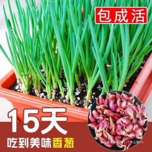 �ļ��[�^�N�Ӽt�[�^���[С�[�^С���r�����^�r�S�[�����[�Ĵ����[