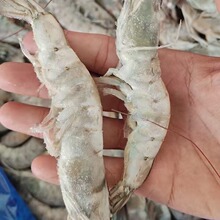 批发厄瓜多尔白虾冷冻大虾海捕速冻 餐饮酒店商用大板虾整箱12kg