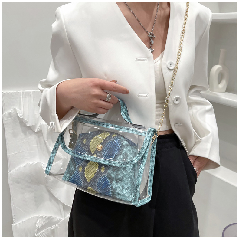 Fashion Style Snake Pattern Transparent Messenger Bag display picture 9