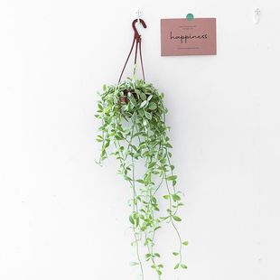 ���m��߅�������҃ȾGֲ���ԾW�tֲ���k������������՚��辰��