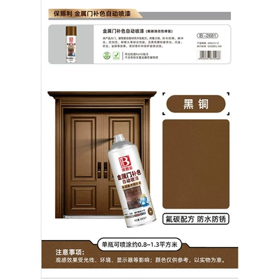 Special Paint Sun Protection Rainproof – Avtomobil boyası - black-copper-color-450mlbottle