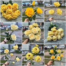 �����Sɫõ�廨�S��ֱ�N�Sɫ�����w��ݻ�cܛ�b�Ҿ��bٻ����l