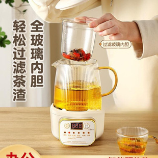 Mini Health Pot Household Multi-Functional Office Small One-Person Teapot Tea Maker New Style Wholesale