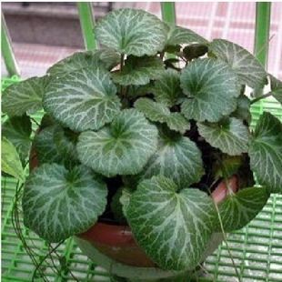 �������^�p�����Ãrֵ���rֲ��e�������X�����Խ�z���m