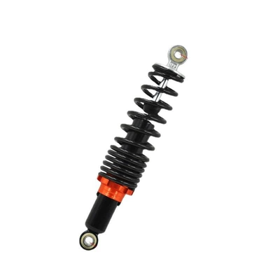 Motorcycle Modification, damping system