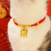 Новогодний ошейник для домашних животных кошка и собака длинная жизнь замок безопасный и праздничный красный шнур