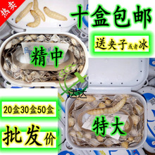 �������x�����x���x ���x �����x���w  �����B��ʳ�B��Ϟ�����x