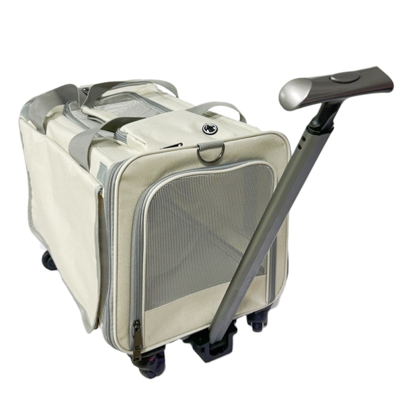 009 viejo cremoso-blanco