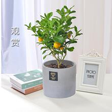 ʘ玧Gֲ̨҃ͥԺֲļYˮʘ