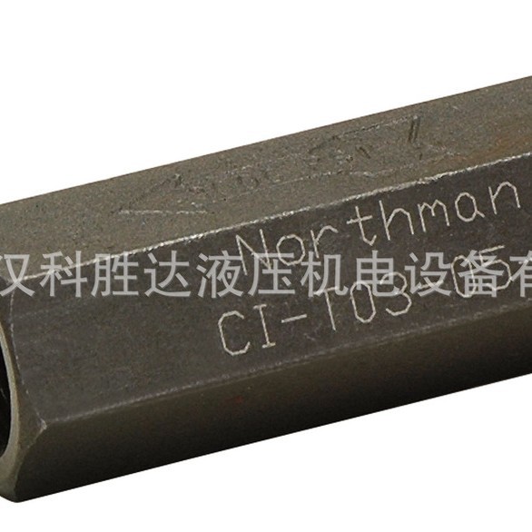 液压单向阀油压直通管式逆止阀CIT-02 03 04 06 0810止回阀流量阀
