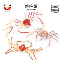 实心海洋动物模型 仿真螃蟹蜘蛛蟹 静态摆件儿童早教认知教具玩具