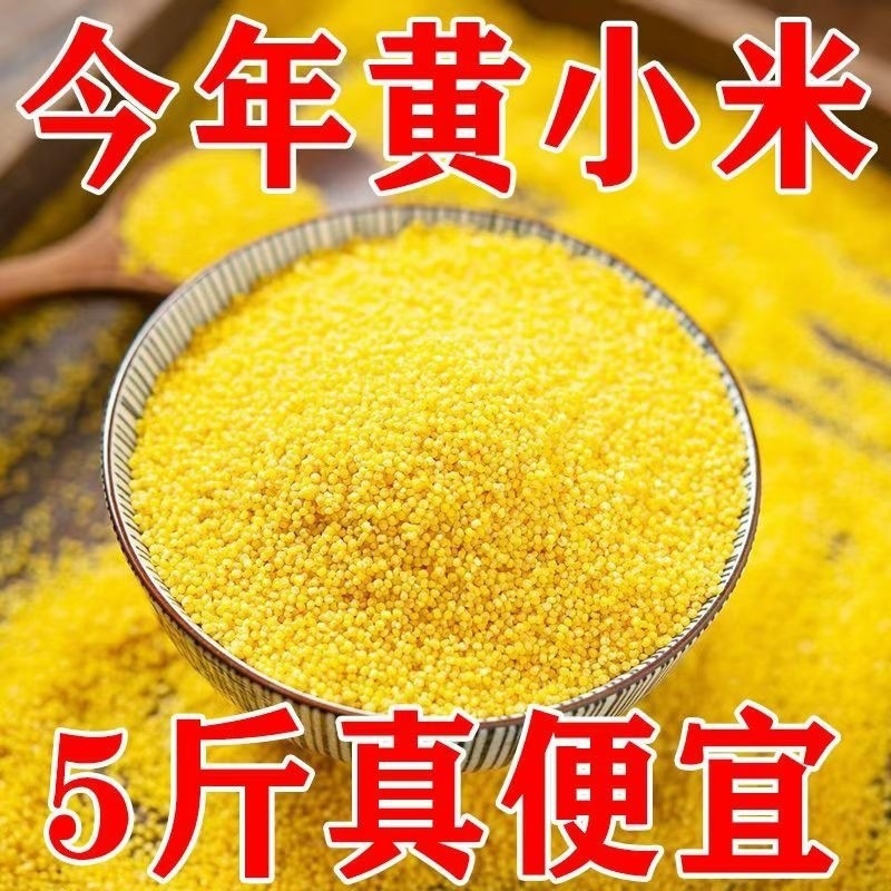 Freshly Cooked Yellow Millet Porridge for Postpartum Care, 5 Pounds of Millet, Farm-Produced Edible Grains
