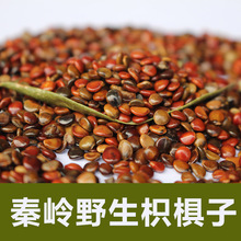 Ұɽ חӲ ՗N ؛500؛