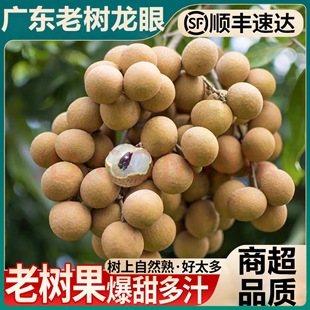 ���F؛�^������V�|ʯ�{�����������rˮ���������Aï��������S