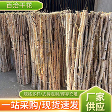 ľԭľˇƷӹԭόľľU2-3cm1ԭĘľUl