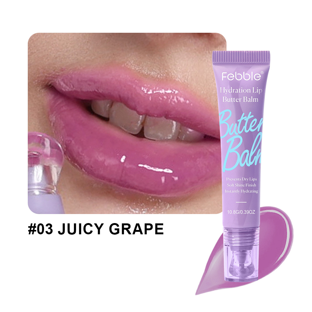 Febble Amazon spot transfronterizo venta caliente lipstick líquido hidratante esmalte labial hidratante FBC031