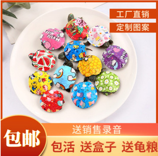 �[������С�����߲ʰ��������w�Ųʿ�ͨ������������S�����l��ˮ