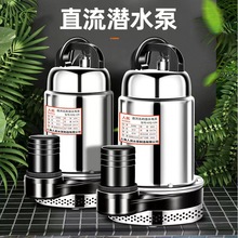 上海人民家用刷车电车农用灌溉12V24V48V72V安全节能直流潜水泵