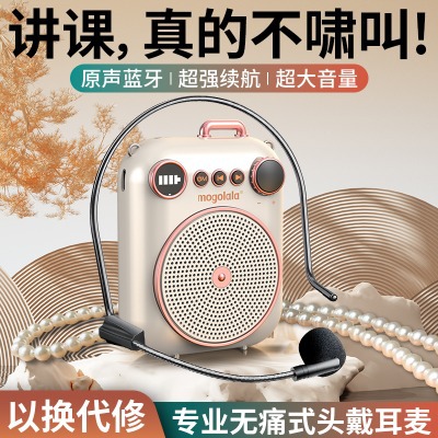 Amplifier for Teachers, Bluetooth Recording, Large Speaker, Megaphone, Outdoor Speech Microphone, Anti-Howling Technology