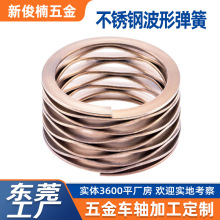 �S�~���Ӳ��Ώ����X݆���S�������Ɍ�픲��y���ɶ��Ɖ��s�p������