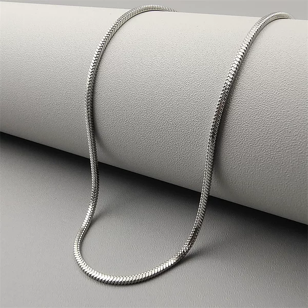 Titanium Steel Square Snake Bone Necklace for Men and Women, Hip-Hop Trendy Chanel-Style Sweater Chain, Clavicle Chain, Stainless Steel Necklace Jewelry