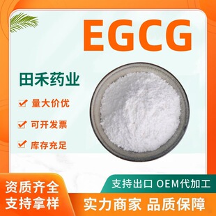 EGCG98%��]ʳ�Ӄ����؛]ʳ�������G����ȡ����̹��S�F؛100g/�b