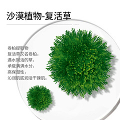 泊蝶復活草瑩潤保濕面膜補水保濕面膜面部護理廠家批發