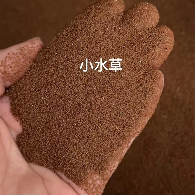 Семена аквариумных растений, мелкие листковые мини-растения, перламутровая трава, крупнолистные растения, керамический песок, ландшафтный дизайн аквариума, настоящие аквариумные растения.