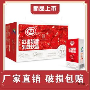 [24 Boxes] Jujube Milkshake Yogurt Breakfast Milk Sour Yogurt Tiantai Children's School Milk Milk 250ML Whole Piece