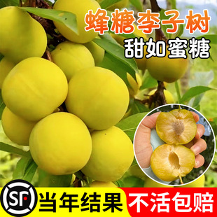 �������Ә����F�����R���A��Ʒ�Nˮ��������̨�����Ϸ������Nֲ